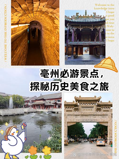 亳州古井酒文化博览园旅游攻略