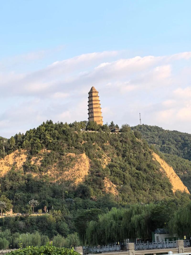 延安的枣园在哪里?