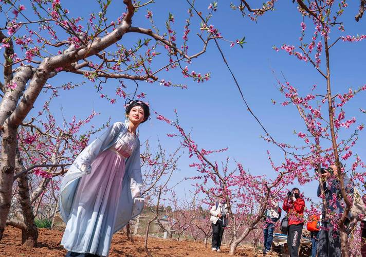 临沂桃花景点