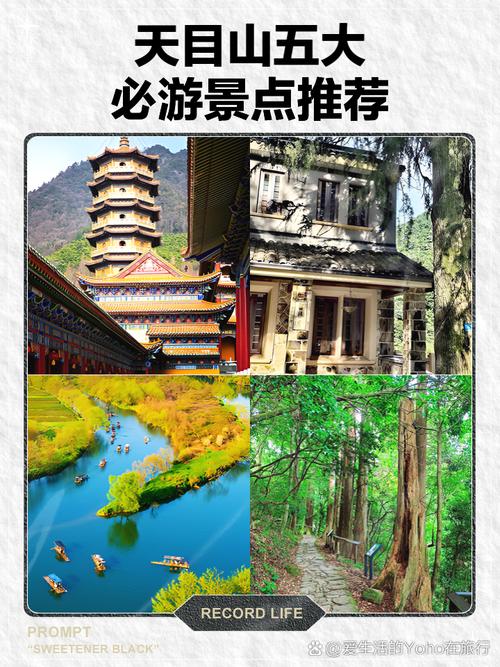 天目山旅游攻略