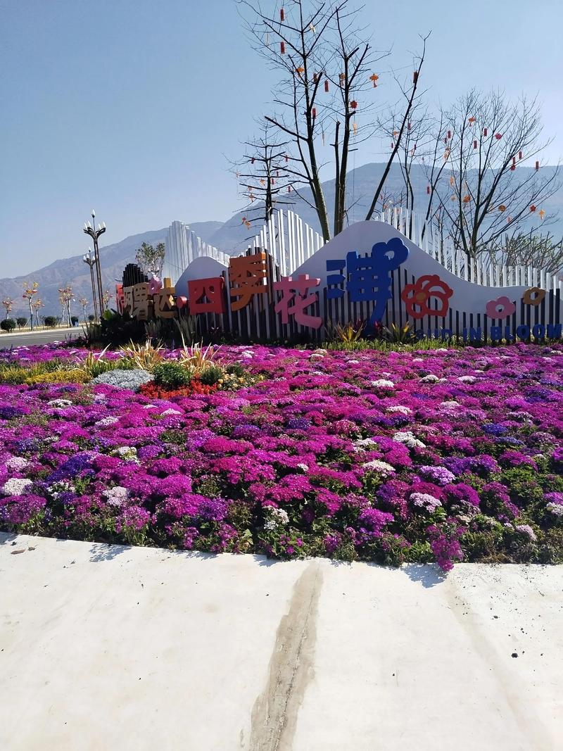 攀枝花市游玩地方