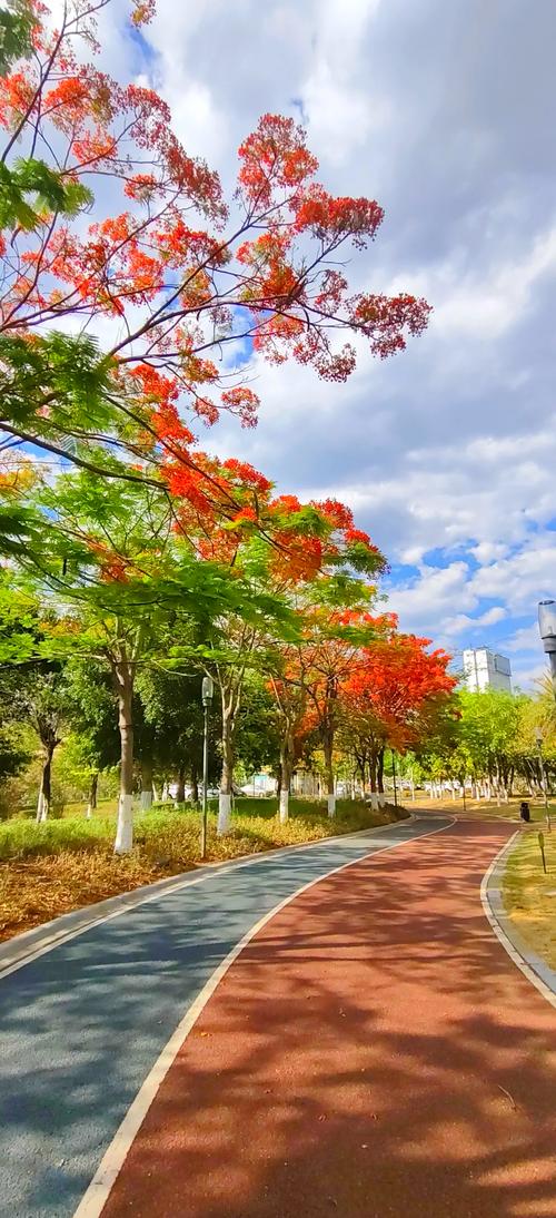 攀枝花12月旅游景点