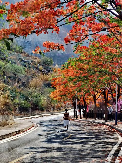 攀枝花6个最美景点