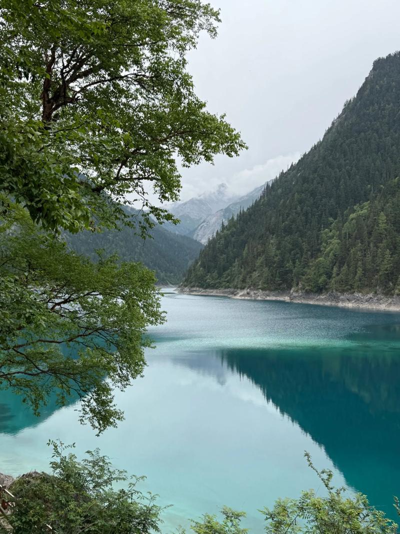 四川九寨沟旅游攻略