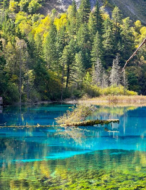九寨沟必去的几个景点