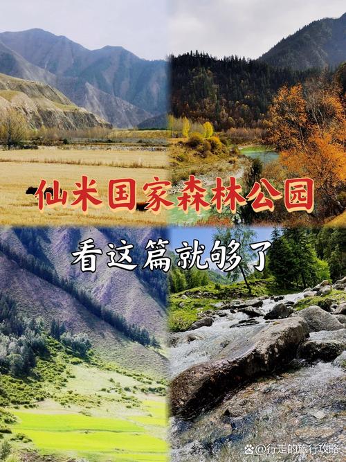 有哪些门源回族自治县仙米林场的旅游攻略分享?