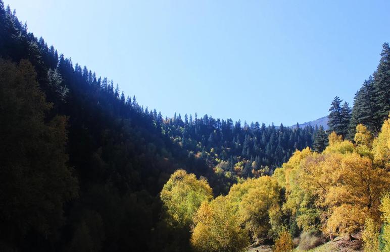 去青海金沙滩景区游玩的攻略是什么?