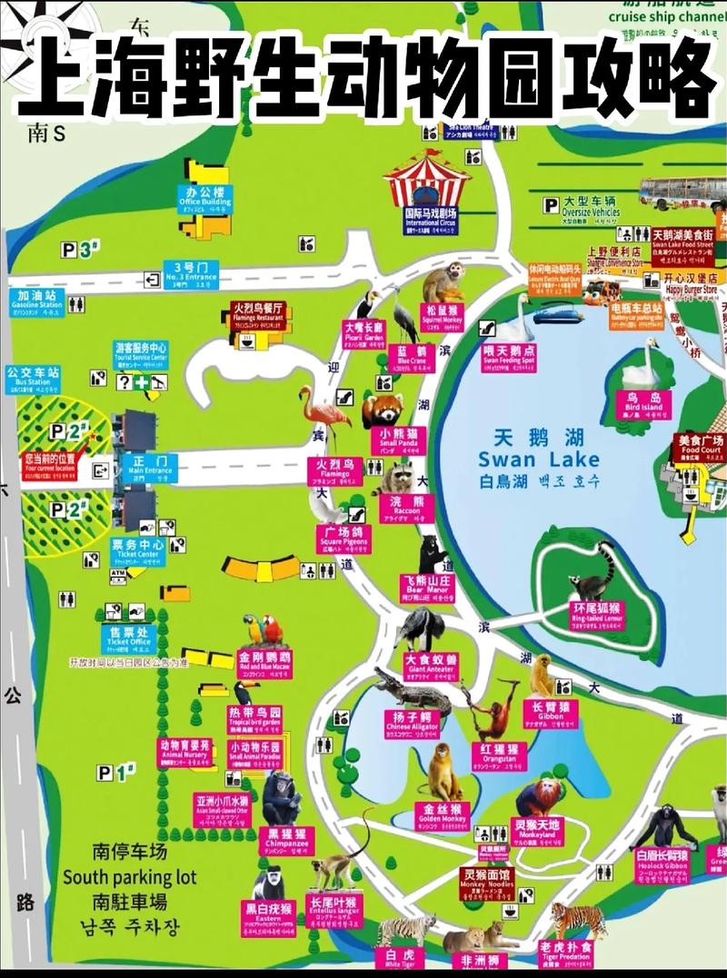 上海野生动物园一日游攻略