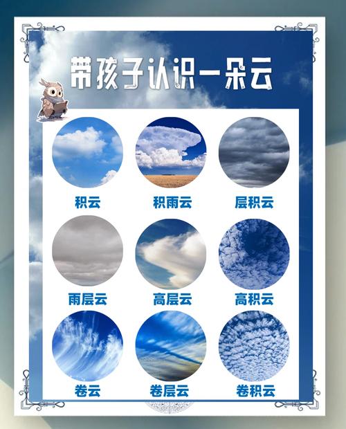 全部天气有哪些?