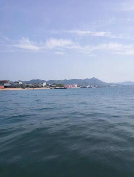 营口哪个海边好玩适合带孩子去,山东营口海边景区推荐人