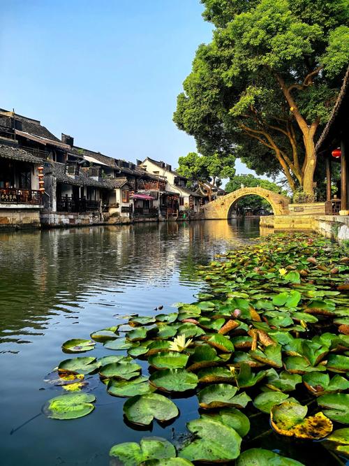 西塘风景区有哪些值得一游的景点?