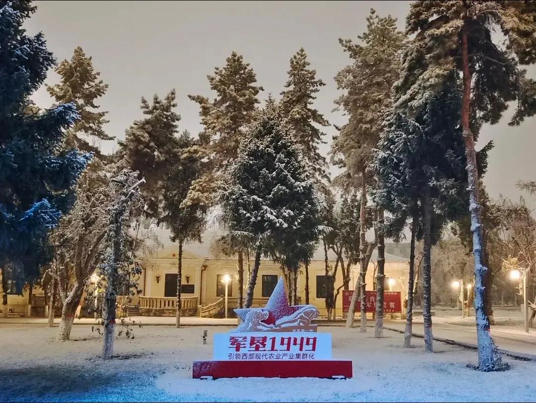 今天,石河子下雪了吗?