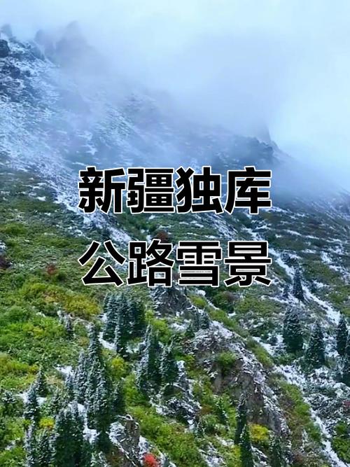 新疆独库下雪了吗