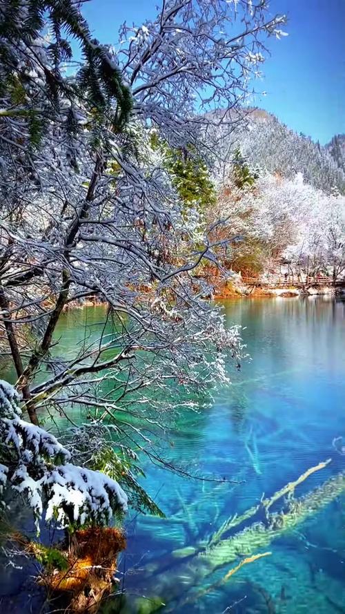 九塞沟下雪了吗?