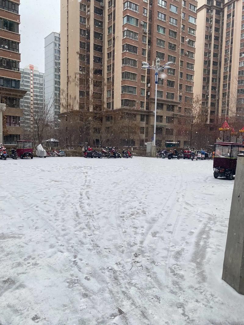 新疆禾木下雪了吗