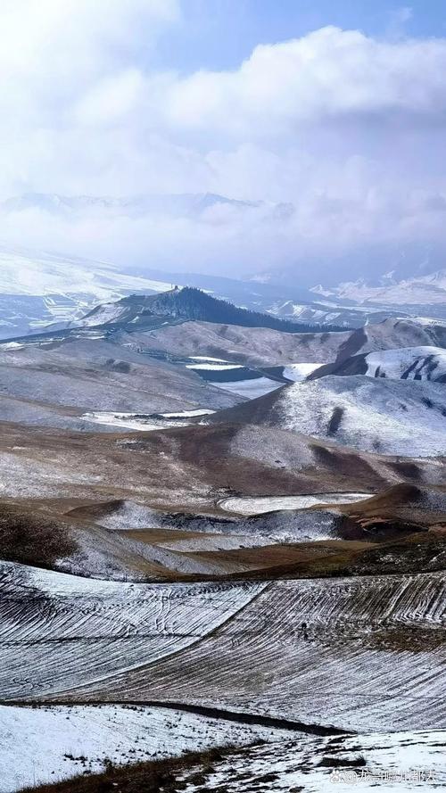 神农架下雪了吗