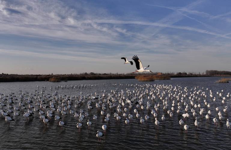 曹妃甸湿地景区有哪些适合一日游的景点?