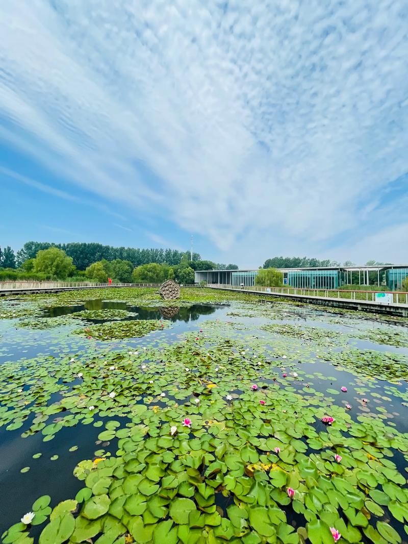济宁南阳古镇自驾游攻略,曲阜自驾游攻略旅游