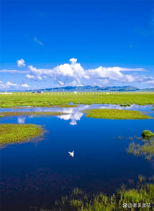 若尔盖花湖一日游攻略