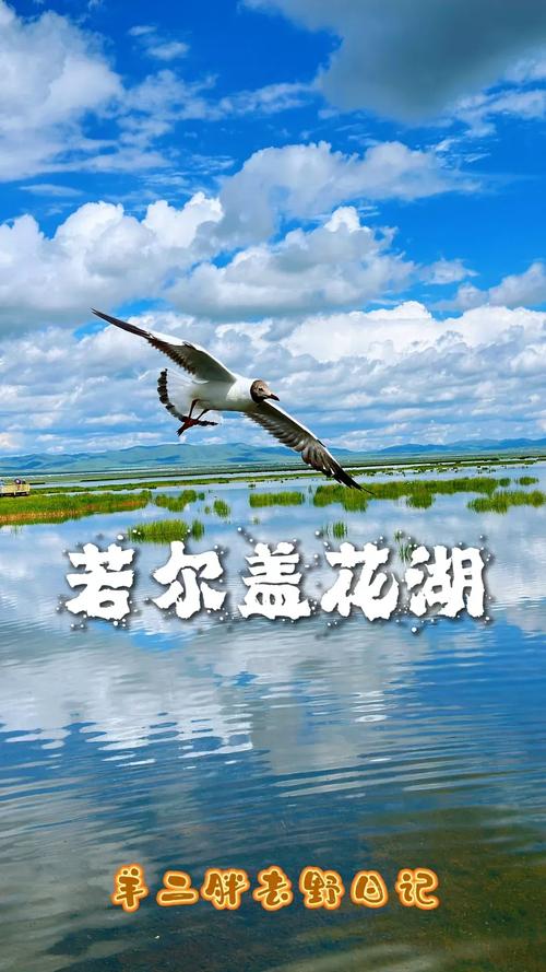 若尔盖花湖旅游攻略