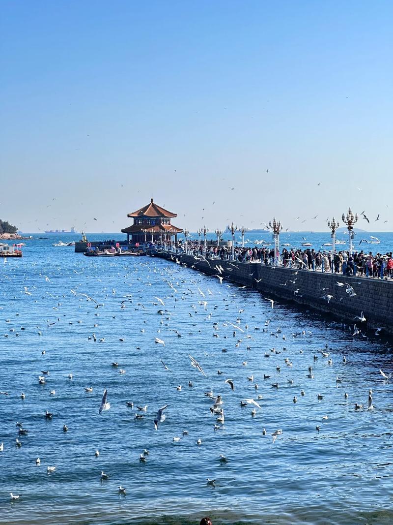 山东青岛有哪些旅游景点