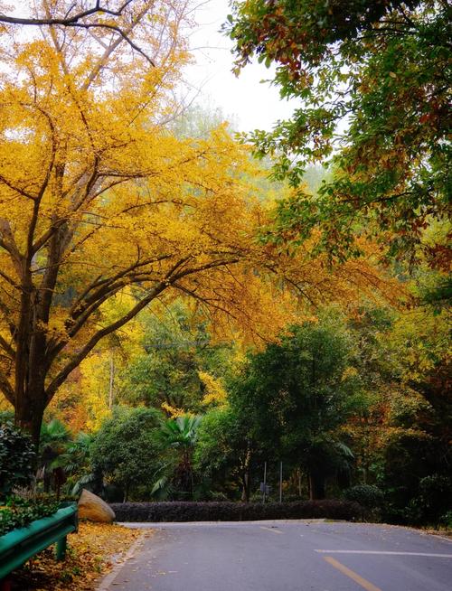 随州秋季最值得游玩的前十旅游景点