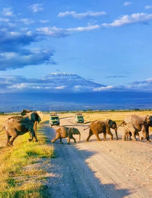 肯尼亚旅游攻略详解,肯尼亚最著名景点