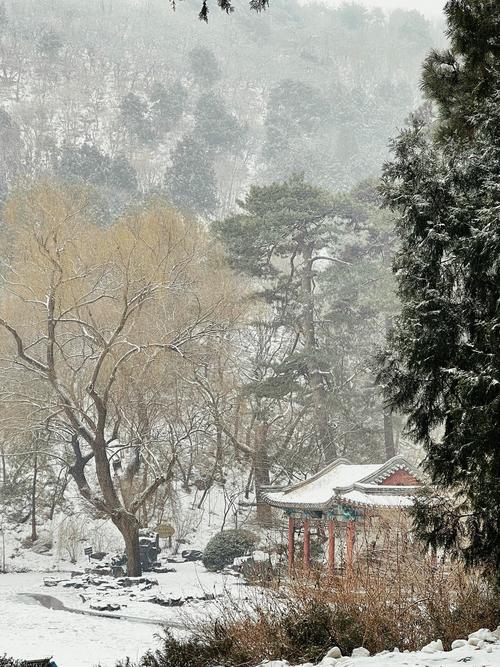 北京香山下雪了吗