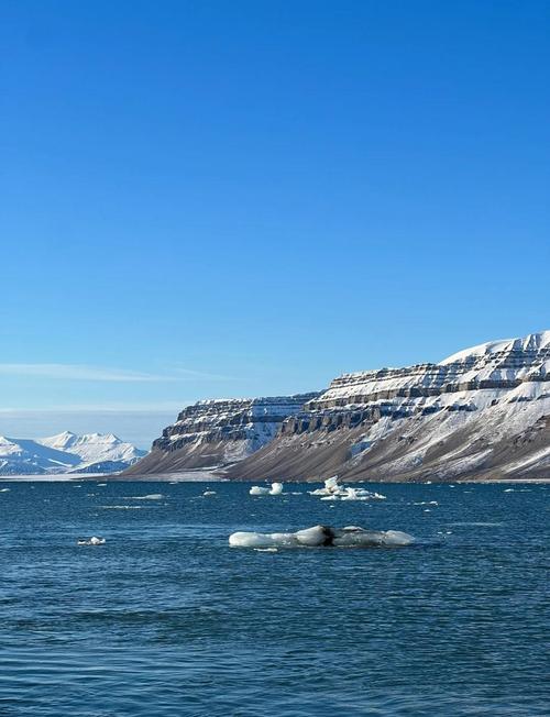 中国人去哪些国家免签