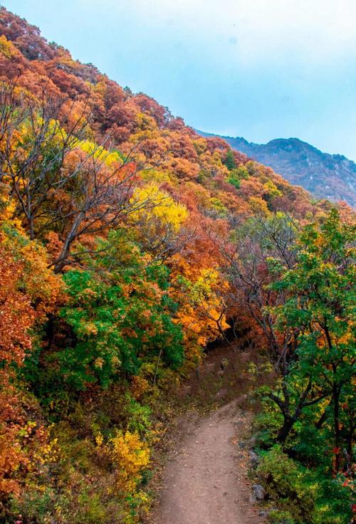 北京喇叭沟原始森林公园门票费用2024