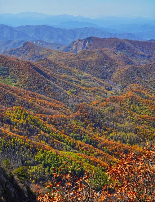 喇叭沟在哪里,喇叭沟景区门票多少钱一张