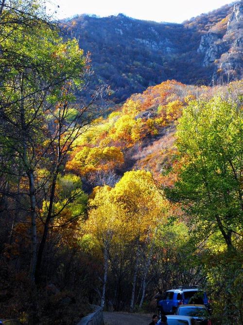 喇叭沟门门票费用,喇叭沟景区门票多少钱一张