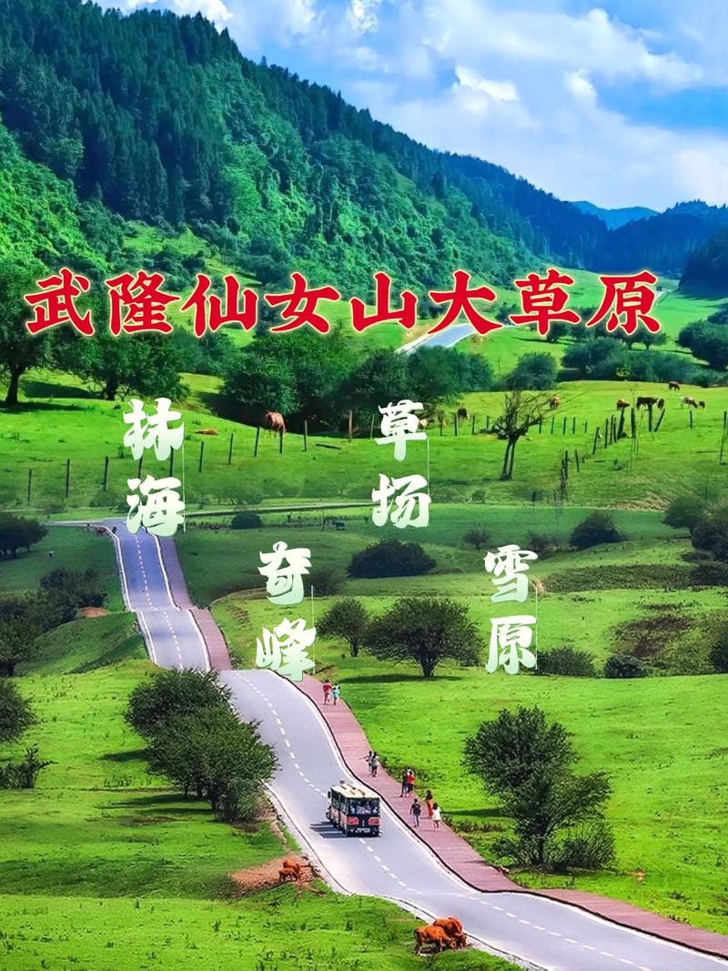 武隆仙女山游玩需要多长时间,武隆仙女山耍两天多少钱