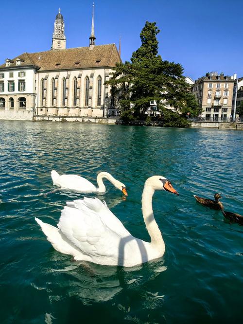 苏黎世有哪些著名旅游景点