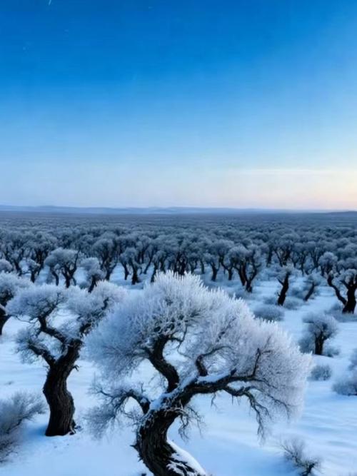 新疆哈密的冬天好过吗