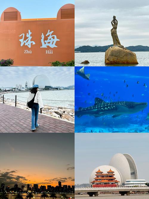 港澳珠自助游攻略