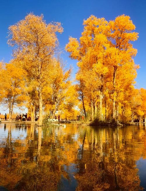 额济纳旗旅游景点