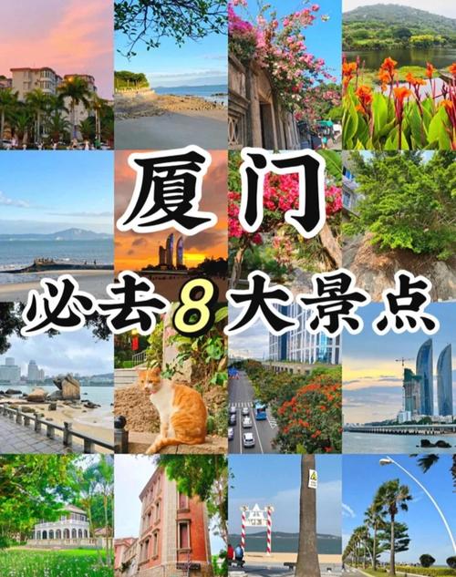 厦门市旅游前十必去景点