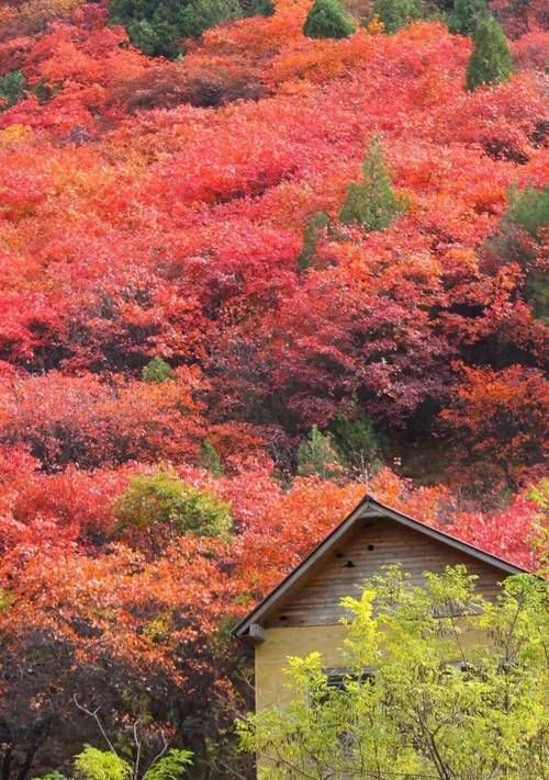 潍坊一日游不花钱景点