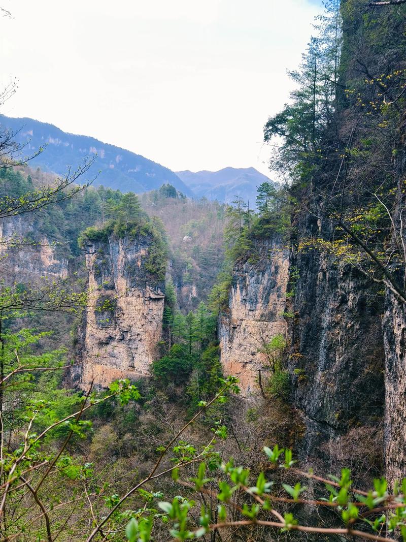 神农架旅游指南