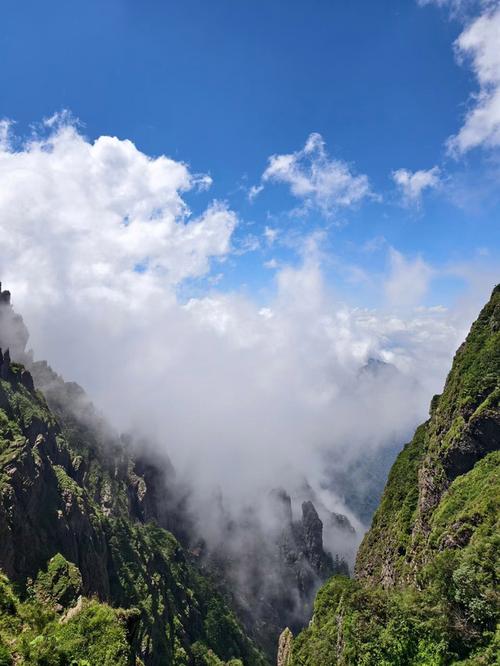 神农顶看云海几点看,高山云海旅游攻略