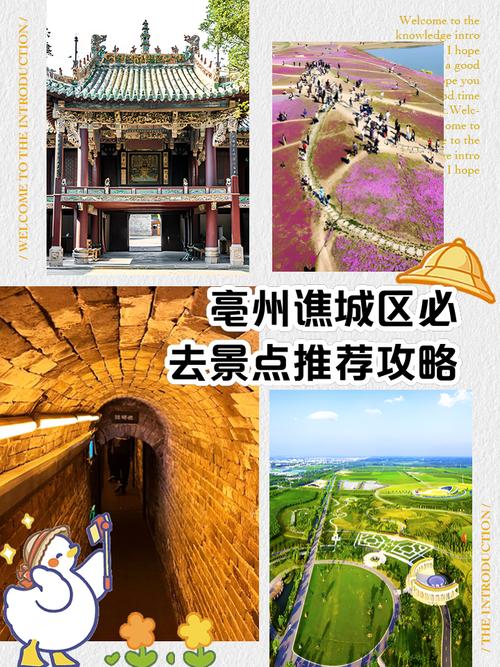 南京到西安自驾中途到哪个城市休息,旅游攻略亳州