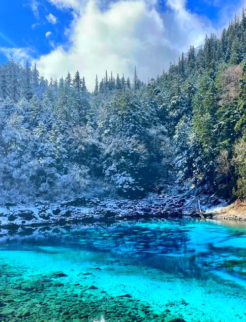 旅游去九寨沟要多少钱