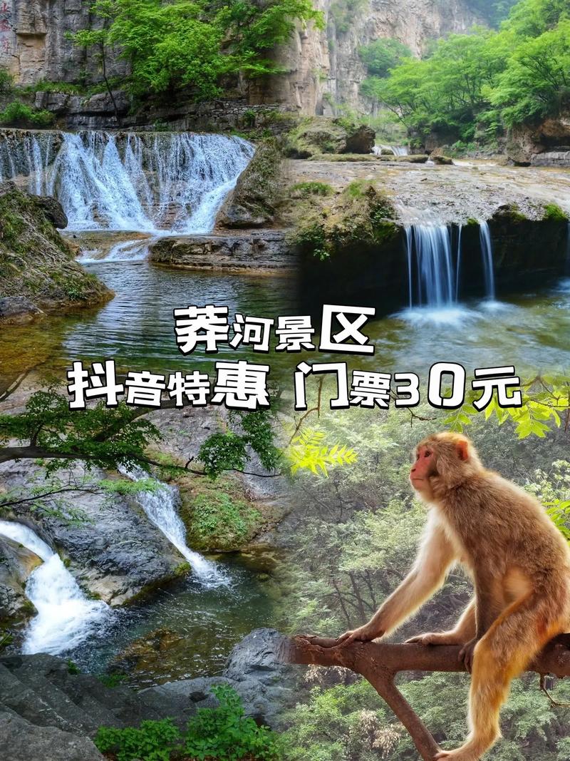 晋城蟒河门票2018?