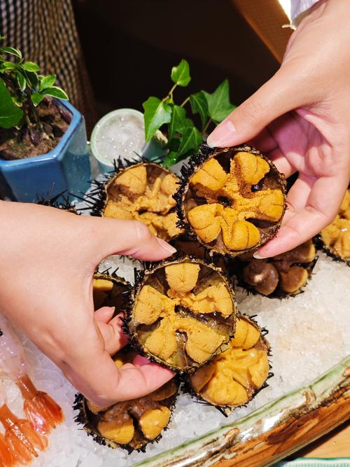 海口旅游攻略2017年最全海口旅游指南,必去景点推荐