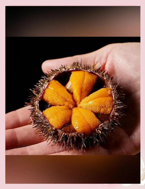 2017海口免费旅游景点(2017海口免费旅游景点有哪些)