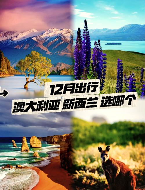 谁能告诉我去澳洲新西兰旅游要注意什么?