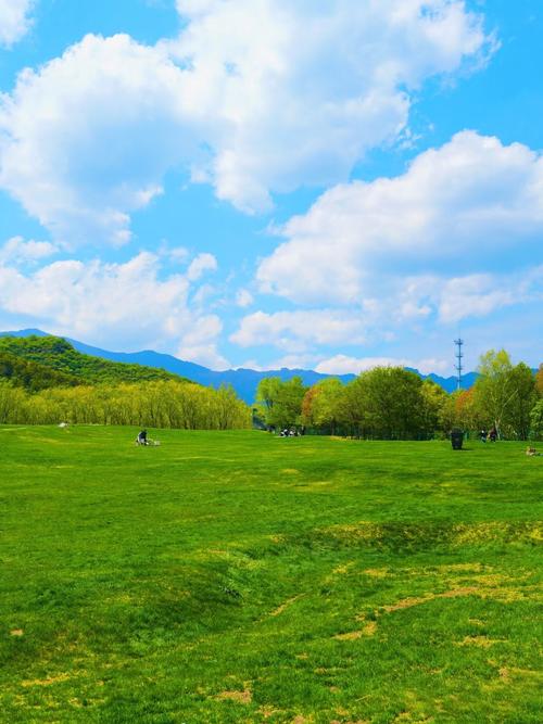 延庆旅游草原攻略