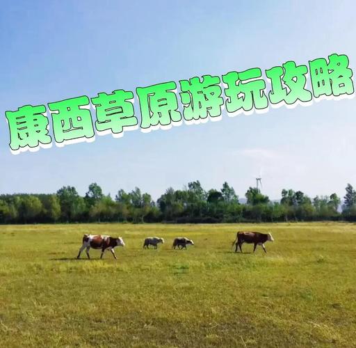 康西草原旅游攻略