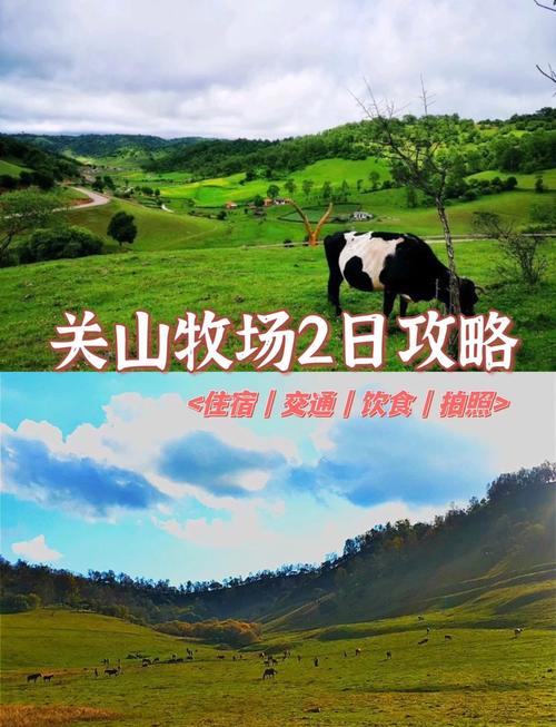 关山草原旅游攻略自驾,关山草原景区攻略